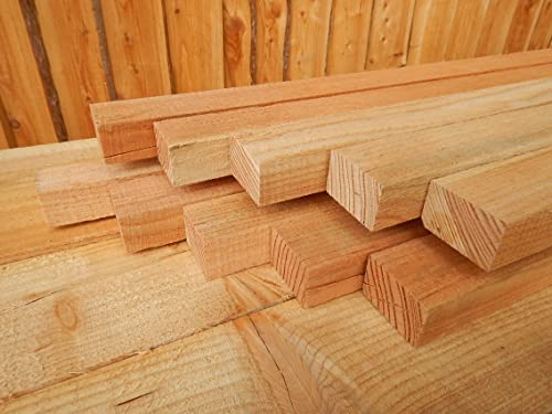 ZAUNLATTE LÄRCHE HOLZ LATTEN LATTENZAUN HOLZZAUN 25x50 mm 2,5x5 120cm (10)
