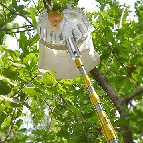 LekLai Recolector de Frutas, Recolector de Manzanas con Mango Telescópico, Herramienta Recolector de Frutas con Dientes de Pinza de Metal/B/6M(19.6Ft)
