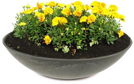 matches21 HOME & HOBBY Ciotola per piante da esterno resistente alle intemperie, 35 cm, colore: nero marmorizzato come ciotola per fiori, ciotola decorativa