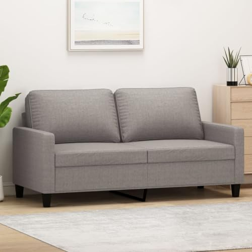 HETFTJN Zweisitzer-Sofa Taupe 158x77x80 cm Modernes kleines Schlafsofa aus strapazierfähigem Stoff Metallgestell Robust für Wohnzimmer Jugendzimmer Büro Balkon