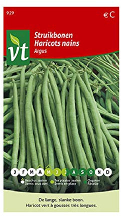 Haricots Argus Graines - Haricot vert à gousses très longues