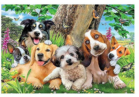 DCIDBEI Diamond Painting Hunde Hund 40x50cm | Diamant Painting Bilder Perlen Bilder Hund Dackel Diamond Painting Dog Yorkshire Hund Labrador Malen nach Zahlen Malteser Dog