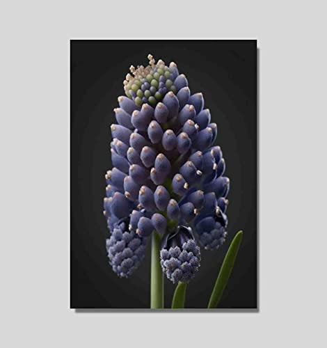 AVARDAN ART Astrounaut with Flowers Space Poster Prints Unframed N6 (Grape Hyacinth Flower 4, 297 x 420 mm / 11.7 x 16.5 inches)