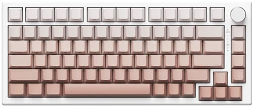 VGN Gaming Keyboard, 75% Layout Magnetic Switch, Adjustable Actuation | Hot-Swappable Hall Effect Magnetic Switch, Gradient Side-Printed Keycaps, Key Macro Programming, For Gaming On Windows & Mac