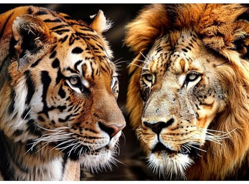 QENSPE Diamond Painting Tiger und Löwe Set Erwachsene, Diamond Art Tiere, 5D Diamant Malerei DIY Gems Kreuznähte Rund Diamants Kunst Handwerk für Haus Zimmer Wand Dekor 30x40cm