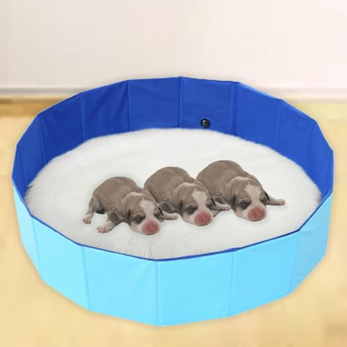 Cdycam Portable Birthing Pool for Dogs and Puppies, Foldable Whelping Pen, Dog Whelping Pool Box, Easy to Clean, Portable Hard Collapsible Pet Swimming Bath Pool (XL-40x12)