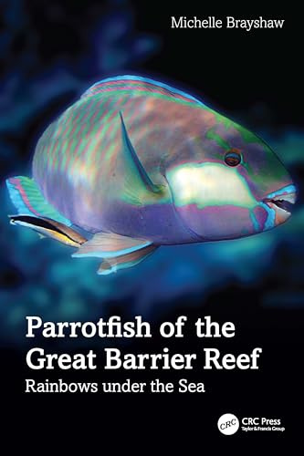 Parrotfish of the Great Barrier Reef: Rainbows Under the Sea