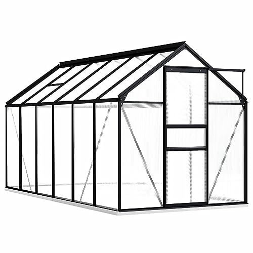 Serra in policarbonato con telaio e base in alluminio, capanno da giardino per piante, 190 x 370 x 202 cm, fissaggio a terra resistente, spazio di coltivazione 7,03 m²