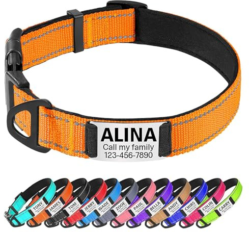 TagME Hundehalsband personalisiert, Reflektierendes gepolstertes Nylon Hundehalsband für mittelgroße Hunde mit Namen und Telefonnummer