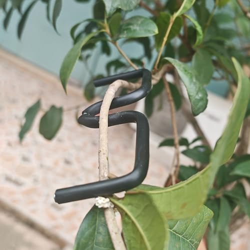 Esparcidor de ramas de árbol frutal de 5.1 pulgadas, 20 piezas con alambre de hierro envuelto en manguera de plástico, herramienta de extracción de ramas para abrir ángulos de árbol, herramienta de