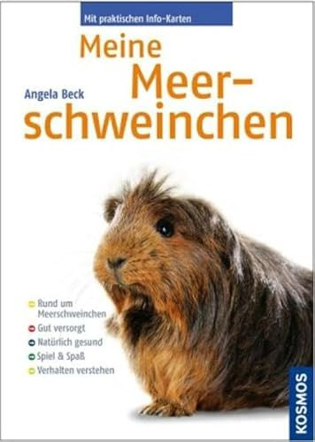 Meine Meerschweinchen: Rund um Meerschweinchen. Gut versorgt. Natürlich gesund. Spiel & Spaß Verhalten verstehen. Mit praktischen Info-Karten