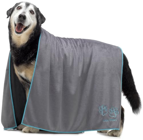 Lucky Paws® hundhandduk XL 140x70 cm – superabsorberande & lyxigt mjuk hundhandduk – snabbtorkande mikrofiber hundbadhandduk – premium hundhanddukar (1-pack, Grå/Turkos)