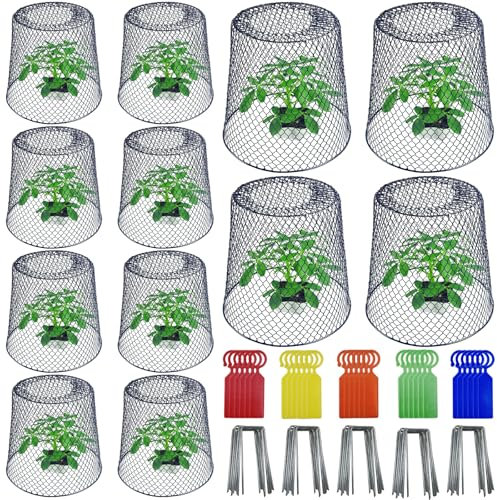 Lot de 12 housses de protection pour plantes en fil de fer de 23 x 23 cm avec 40 piquets en forme de U et 30 étiquettes, cloches de jardin, cages pour plantes, cages pour extérieur, protection de