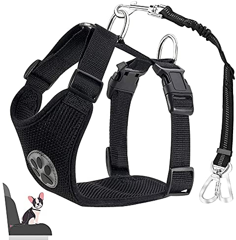 Eyein Hundegeschirr mit Sicherheitsgurt für Auto, 2 Karabinerhaken - verbunden mit Sicherheitsgurt-Schnalle, Kinder-Sicherheitssitz oder Trunk, verstellbare atmungsaktiv Geschirr (Schwarz, L)