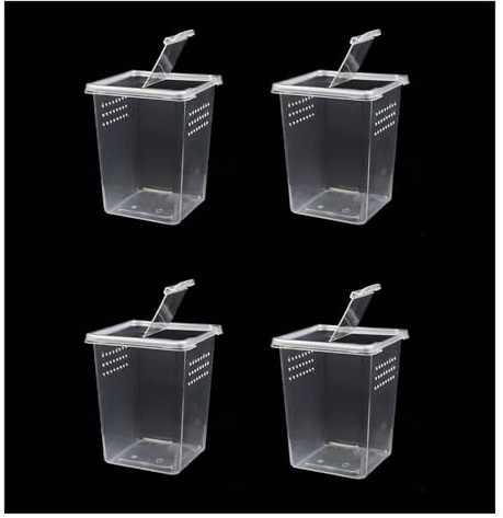 Faunarium Insektenbox 4 Packungen Reptilienzuchtbox Spinnenterrarium Befreiungsbox Schnecken Terrarium