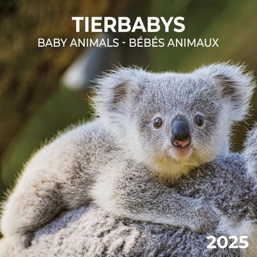 Tierbabys 2025: Kalender 2025 (Artwork Edition)