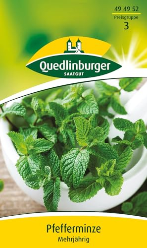 Quedlinburger Saatgut Pfefferminze Samen