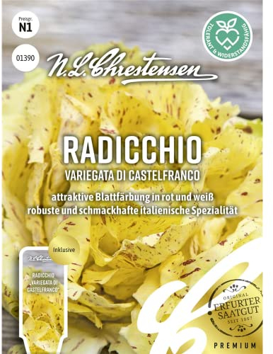 Radicchio Variegata di Castelfranco, attraktive Blattfärbung in rot und weiß, Samen
