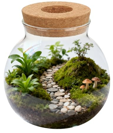 Milisten Bouteille en verre hydroponique Monstera - Pot de fleurs pour plantes hydroponiques - Vase hydroponique pour plantes hydroponiques - Vase de table - Vase de poisson Marry Me Special -