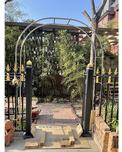 DHGVCED Arco da Giardino in Metallo Arco per Rose in Acciaio Inossidabile Larghezza 120-350 Cm Facile da Montare(Size:150 * 240cm(59 * 94in))