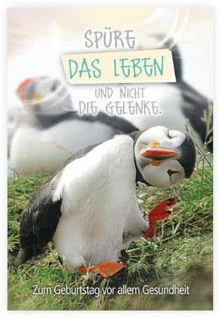 KE - Lustige Geburtstagskarte Set, Pinguin Motiv, DIN B6 Klappkarte, Inklusive Umschlag, Glückwunschkarte mit Spruch, 176 x 125 mm