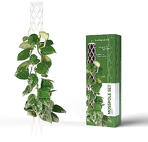 PlantMe Rankhilfe mini, kleine Rankhilfen für Kletterpflanzen, Monstera, Moosstab, Pflanzstab, Pflanzenstütze, small Moss Pole, Kletterhilfe Zimmerpflanzen (40cm Without Filling, Weiß)