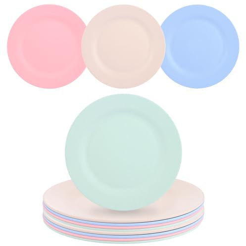 LDXDRU 12 Pack Unbreakable Dinner Plates, 25cm / 10 Inch Colored Camping Plates, Lightweight Picnic Plates Large Salad Plates Round Dessert Plates for Indoor Outdoor Home Restaurant Party