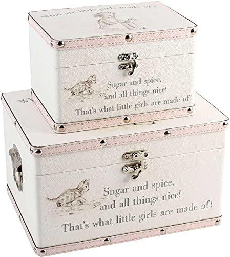 Online Garden Centre Luggage series - Set of 2 Baby Storage Boxes - Little Girls