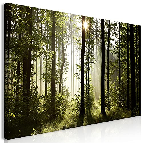 B&D XXL - Leinwandbild Waldlandschaft Natur, Schlafzimmer, Wohnzimmer | Hochwertige Leinwand, sofort aufhängbar, ideal fürs Wohn- oder Schlafzimmer, wasserfest und lichtecht, langlebig, stilvoll