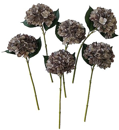 Brown Hydrangea Artificial Flowers,6 Pcs Faux Hydrangea Flowers,Artificial Hydrangeas Flowers with Stems,Fake Hydrangeas,Silk Hydrangeas Flowers with Stems for Home Decor (6, Coffee)