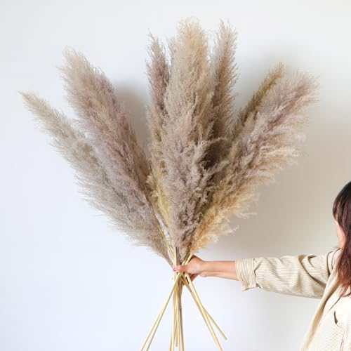 YiYa 12Pcs Grande Herbes de Pampas Naturelles 114cm Pampa XXL Séchées Naturelles Fleur Pampa Séchées pour Boho Decoration Mariage, Salon, Chambre À Coucher（Grises）