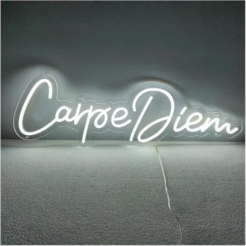 Letrero de neón Para letreros de neón, decoración Carpe Diem para club, para fiesta, tienda, hogar, dormitorio, cumpleaños, lámpara 42 cm × 14,7