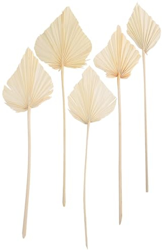 Lurrose Hojas de Palma Seca Decorativas 5 Piezas para Decoración de Boda y Hogar, Abanicos Naturales para Arreglos y Adornos de Fiesta de Verano