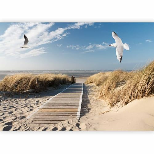 murando - Carta da Parati Moderna per Camera da Letto, Mare, 500x350 cm | Fotomurali in TNT, Decorazione da Muro XXL, Poster Giganti da Parete, Spiaggia, Produzione Europea