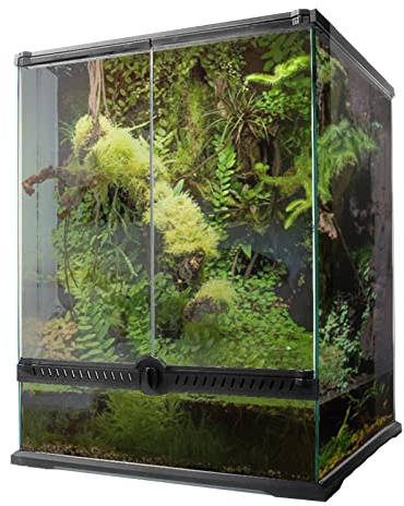BGFYUSF Reptilien-Terrarium, Glas, transparente Futterbox, Zuchtbox für Reptilien und Amphibien, Insekten, Spinne, Schildkröte, Schlange (30 x 30 x 45 cm)