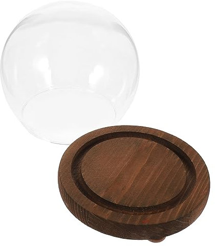 COLLBATH Miniature Display Case Glass Dome Ornament Preserved Flower Cloche for Diy Micro-landscape