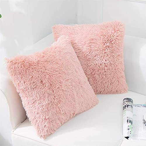 RAILONCH 2Pcs Kissenbezüge Künstlich Langhaar Zierkissen Kissenbezug Kunstfell Flauschig Deko Kisse Sofakissen Zierkissenbezüge für Sofa Büro (Pink)