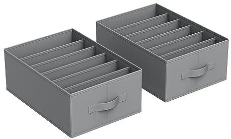 SONGMICS Kleiderschrank-Organizer 2er Set, Aufbewahrungsbox 6 Fächer, Schubladen-Ordnungssystem, Ordnungsboxen faltbar, 42 x 30 x 17 cm, für Hosen, Kleidung, taubengrau RUS009G02