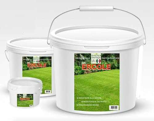 SEMI PRATO resistente - sementi prato resistenti alla siccità - seme prato poca acqua - calpestabile - adatti a tutti i luoghi e tipi di terreno (750 Gr per 30 Mquadri)