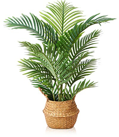 LOMANTO Künstliche Majestät Palmenpflanze, 91 cm, für Heimdekoration, Innenbereich, kleine künstliche Bäume im Topf, künstliche tropische Pflanzen für Einweihungsgeschenk, 1 Packung