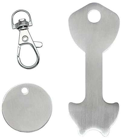 Bojueshaw 2pcs Shopping Trolley Releaser,Stainless Steel Trolley Release Key,Trolley Token Coin Keyring for Shopping Trolley