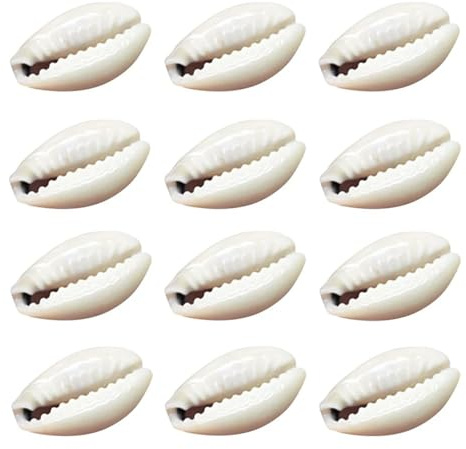Coquilles de mer Coquilles de mer mixtes, Coquillages for l'artisanat 50 pièces Perles de coquillage Cauris Cauris Bijoux Accessoires d'artisanat Trous Bracelet DIY Petites amies