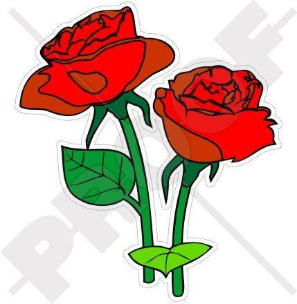 ROTE ROSEN Blumen Englische Rose 100mm Auto & Motorrad Aufkleber, x2 Vinyl Stickers