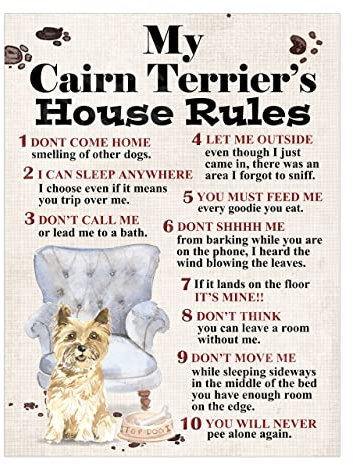 Metal Sign Plaque Dog House Rules My Cairn Terrier's Pet Home Bar Man Cave Garden Shed Garage Pub Decor Shed Garage size 10x8in ref8253