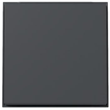 Gira 329667 Wippe Anthrazit matt