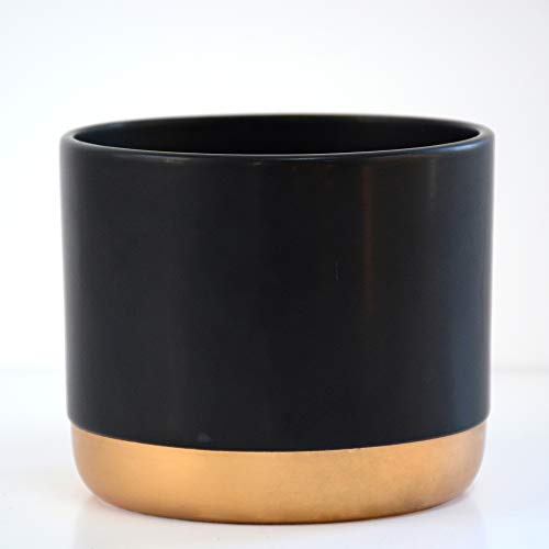Two-Tone Black & Gold Medium Ceramic Plant Flower Pot Round Modern Stylish Simple Design for Indoor House Plants Succulents 1 x Medium Black & Gold Ceramic Pots by Thompson and Morgan