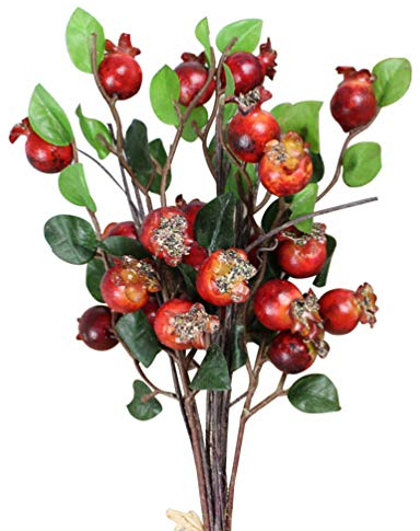 Healifty Group of 5 Artificial Red Berry Stems Holly Rosehip Berries Picks Branch Pomegranate Flower Bouquet Fruit Fake Floral for Crafts Holiday Home Decor (Red) Autumn Decor