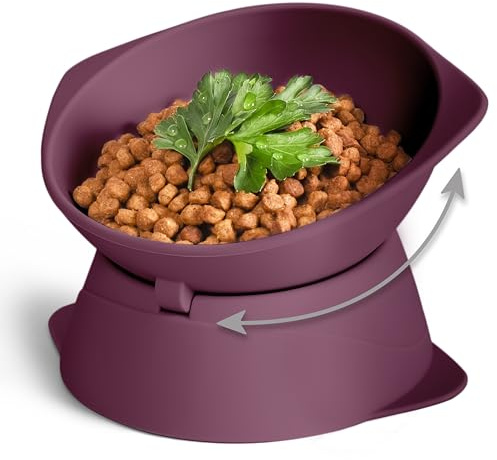 ne&no® Silikon Katzennapf erhöht mit Verstellbarer Neigung | Futternapf Katze erhöht | Katzen Futternapf erhöht | Katzen Napf