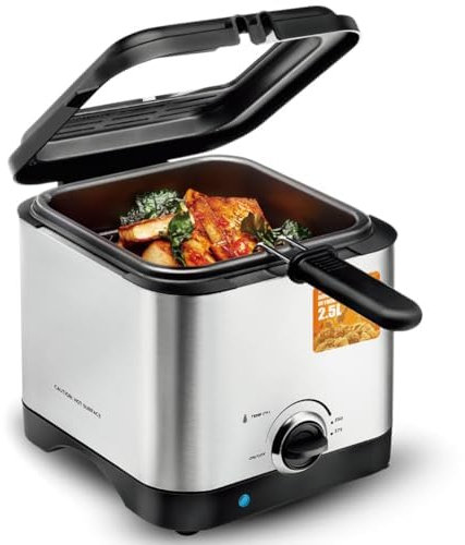 OFNHJK 2.5L Electric Deep Fat Fryer, 1000W Small Deep Fat Fryer with fry baskets, 130-190℃ Temperature Adjustment, Non-stick, Stainless steel oil fryer for Chips Fries Donuts