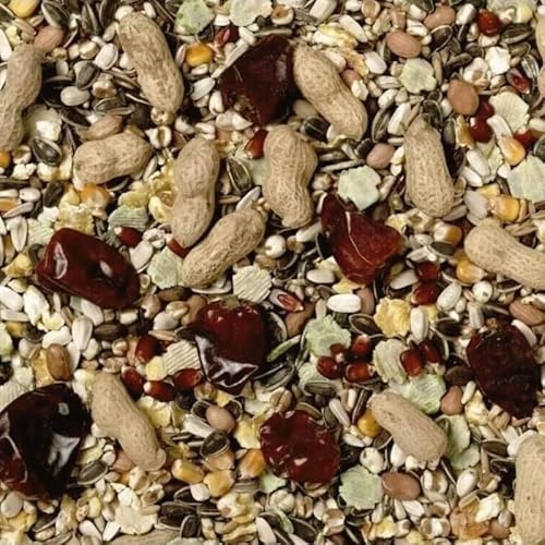 3kg Johnston & Jeff No.1 Parrot Food – Traditional Mix | Nutrient-Rich, 16-Ingredient Blend for Behavioural Enrichment | Suitable for Parrots & Hookbills